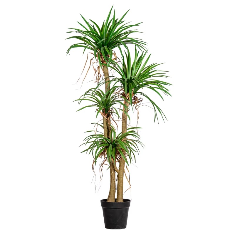Dracaena Marginata - Innen-/Außen-Hausbaum, simulierter Dracaena Marginata, künstlicher grüner