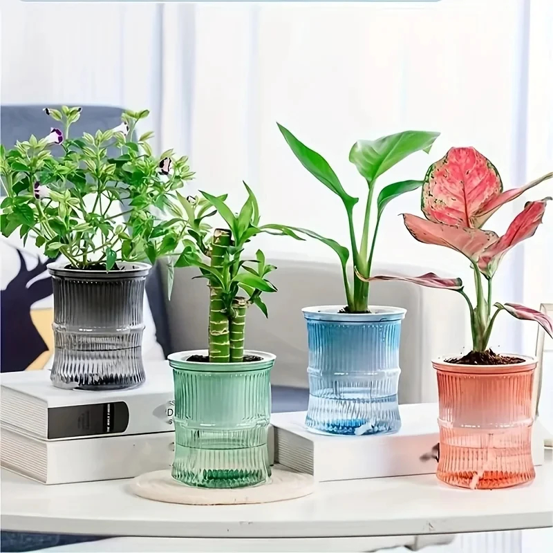 Aloe Vera Pot - Transparenter Doppelschichtiger Selbstbewässernder Blumentopf Hydroponischer Pflanzbehälter
