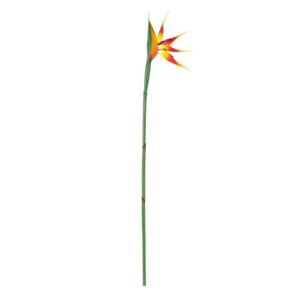 Neue Künstliche Strelitzie mit – Bird Paradise Strelitzia Bewertung und Preis