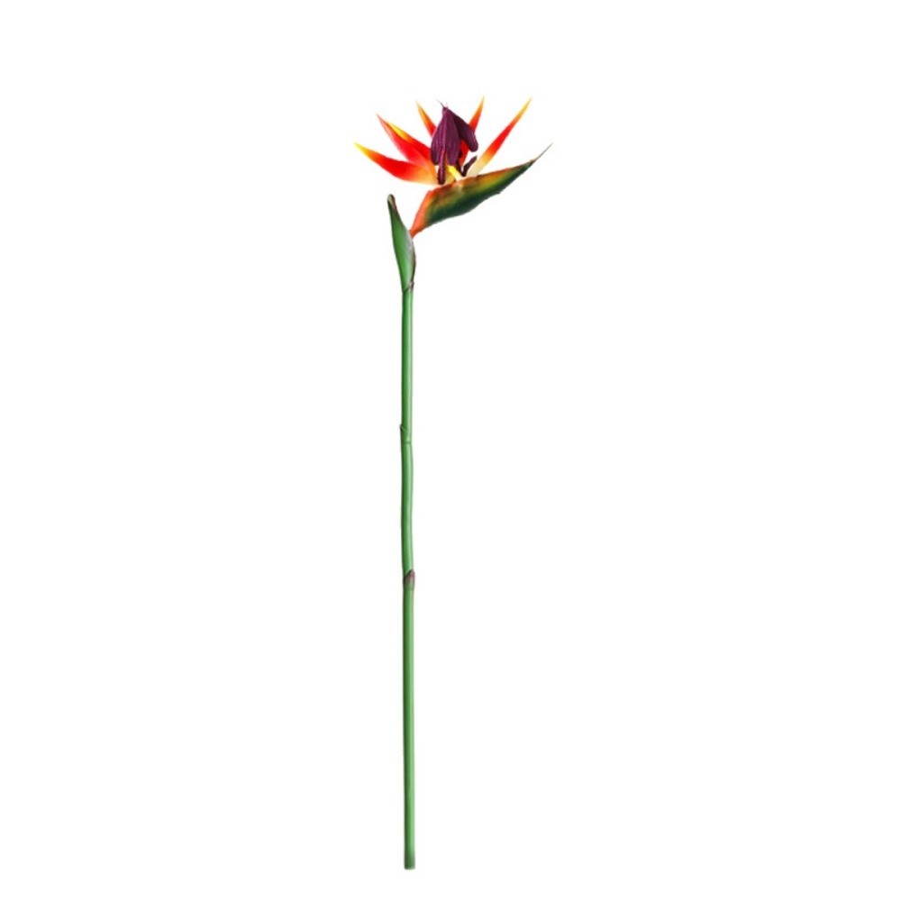 Neue Künstliche Strelitzie mit – Bird Paradise Strelitzia Bewertung und Preis