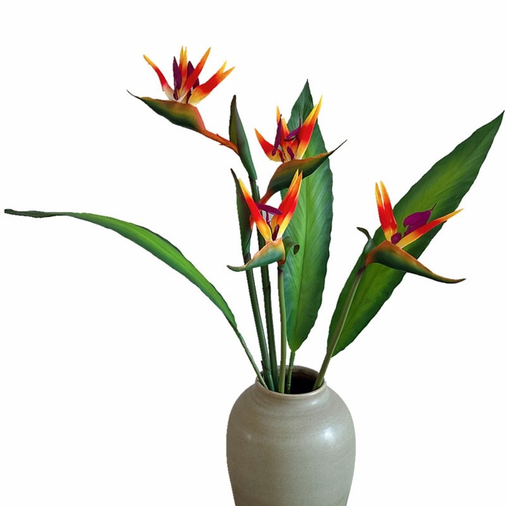Künstliche Strelitzie mit lang – Bird Paradise Strelitzia Bewertung und Preis