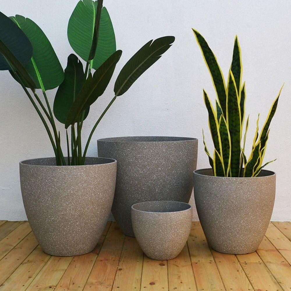 Mattierte Imitation Stein Bons – Aloe Vera Pot Bewertung und Preis