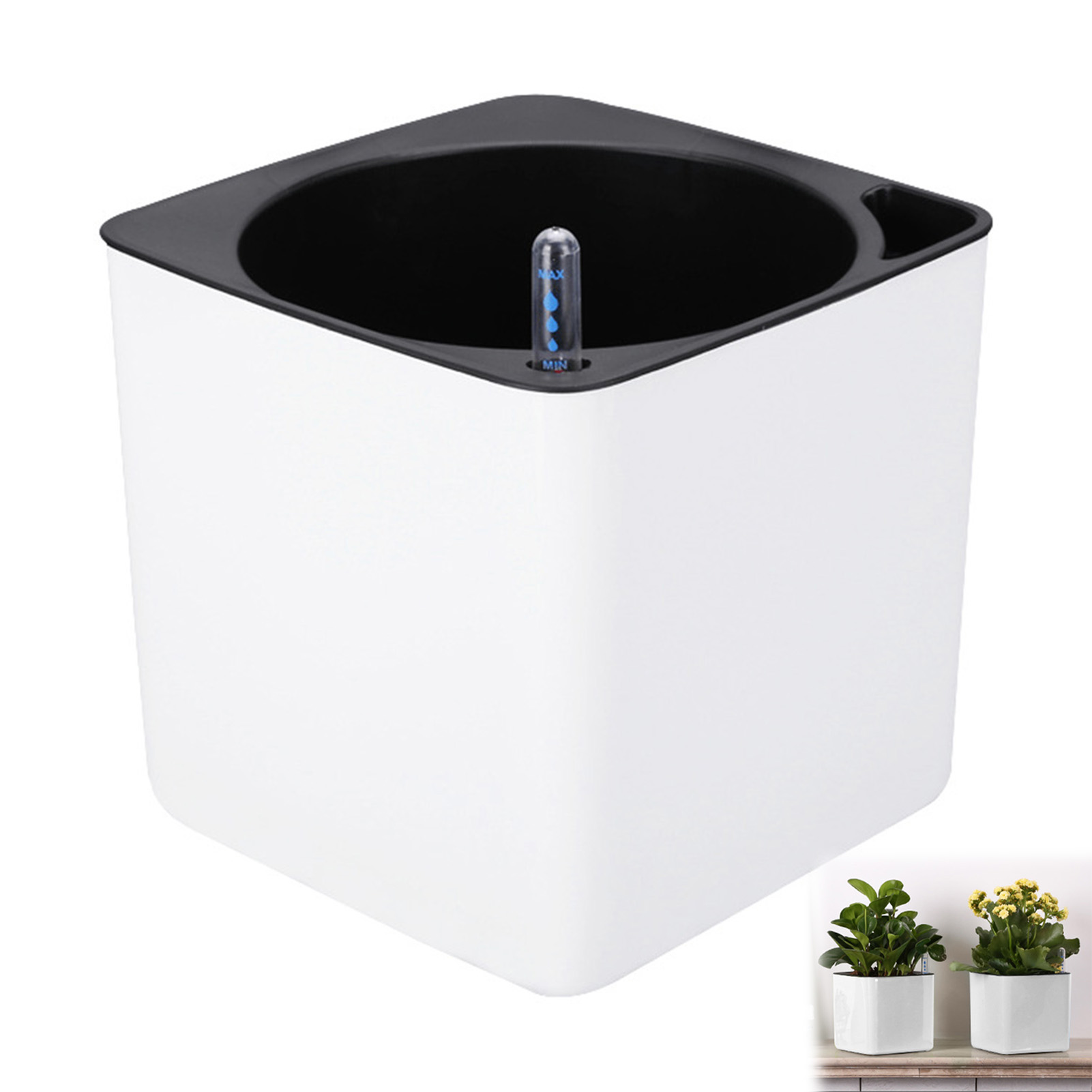 Automatische Selbst Bewässerun – Aloe Vera Pot Bewertung und Preis