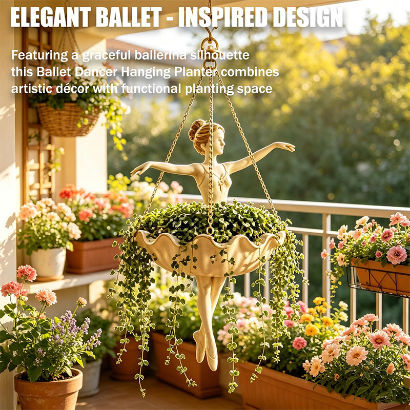 Ballett-Tänzerin Hängender Blu – Spider Plant Hanging Bewertung und Preis