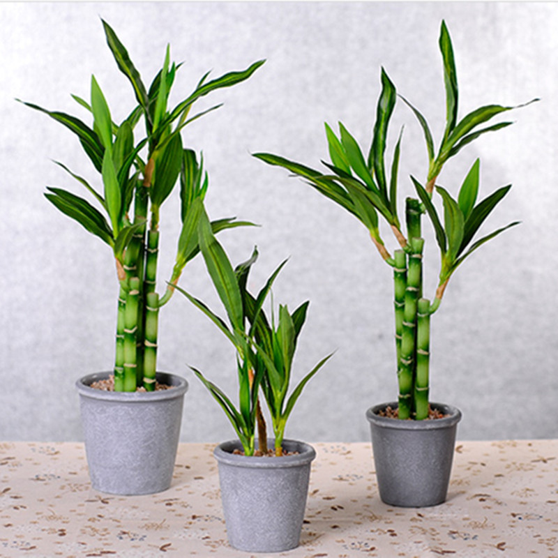 Neue 40 cm rFtificial Lucky Ba – Echeveria Succulent Bewertung und Preis
