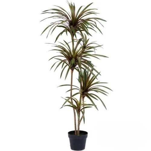 Simulierter bunter Pferdeschwa – Dracaena Marginata Bewertung und Preis