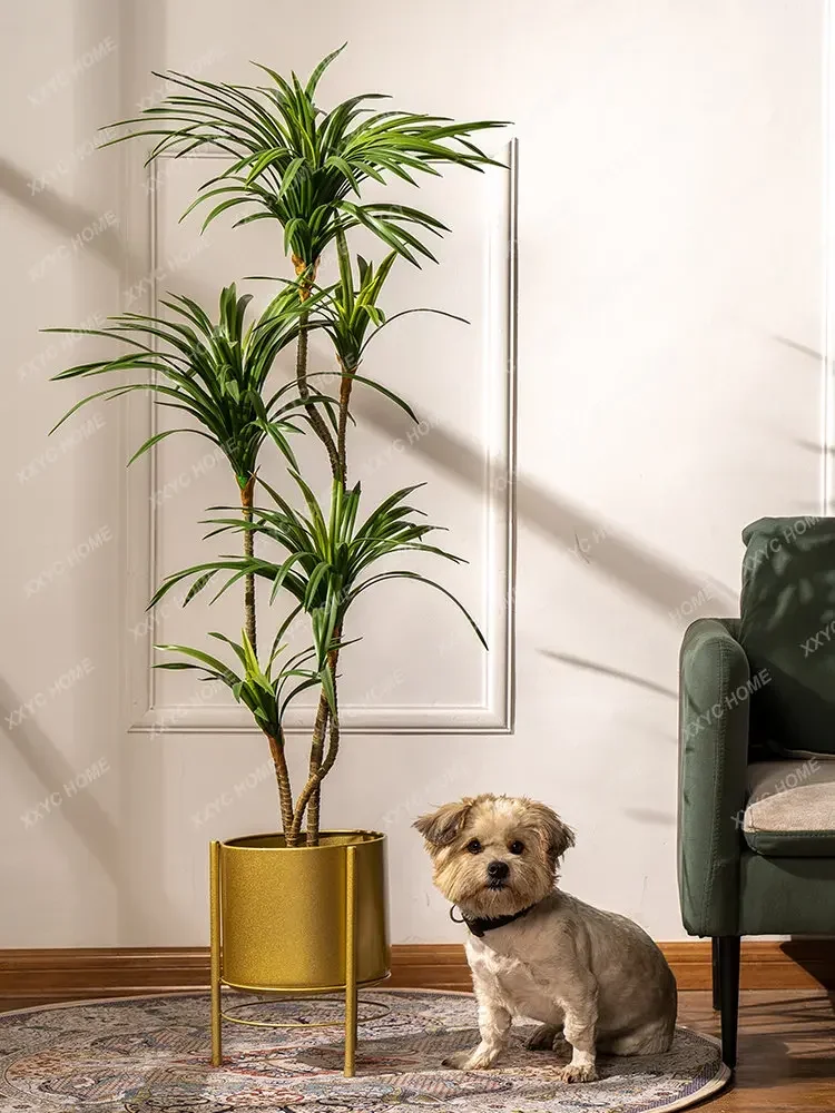 Simulierter bunter Pferdeschwa – Dracaena Marginata Bewertung und Preis