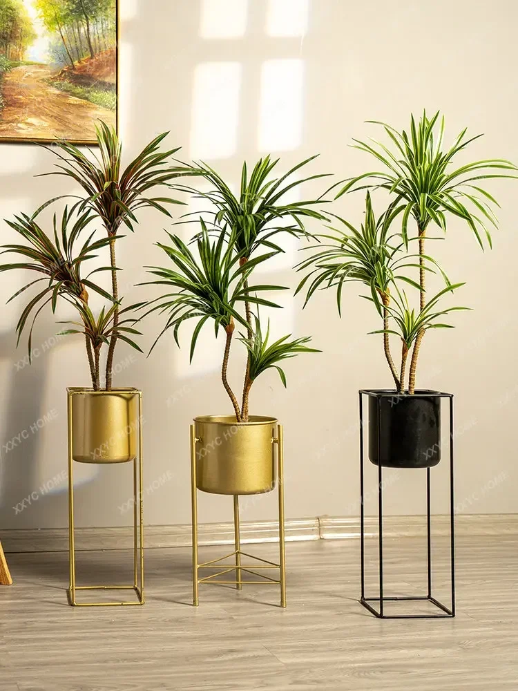 Simulierter bunter Pferdeschwa – Dracaena Marginata Bewertung und Preis