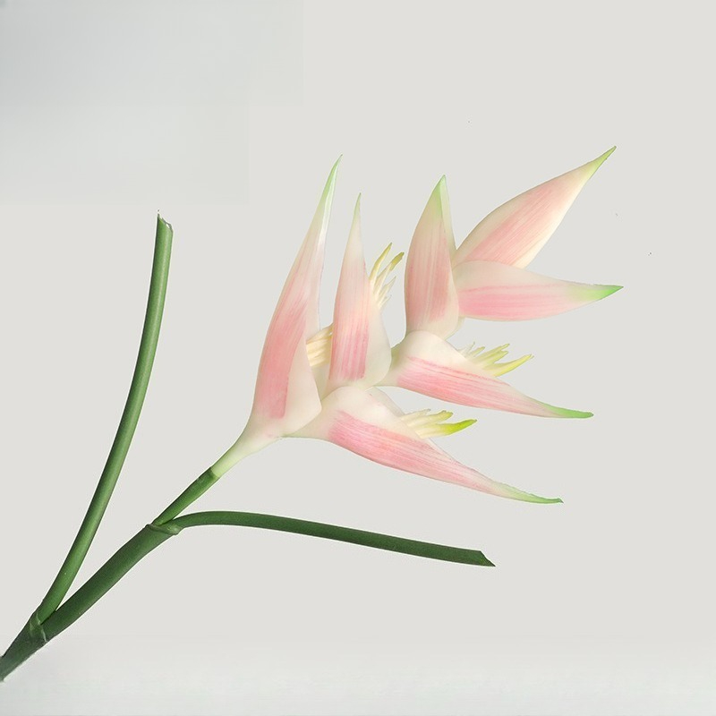 1PCS 85cm Künstliche Strelitzi – Bird Paradise Strelitzia Bewertung und Preis