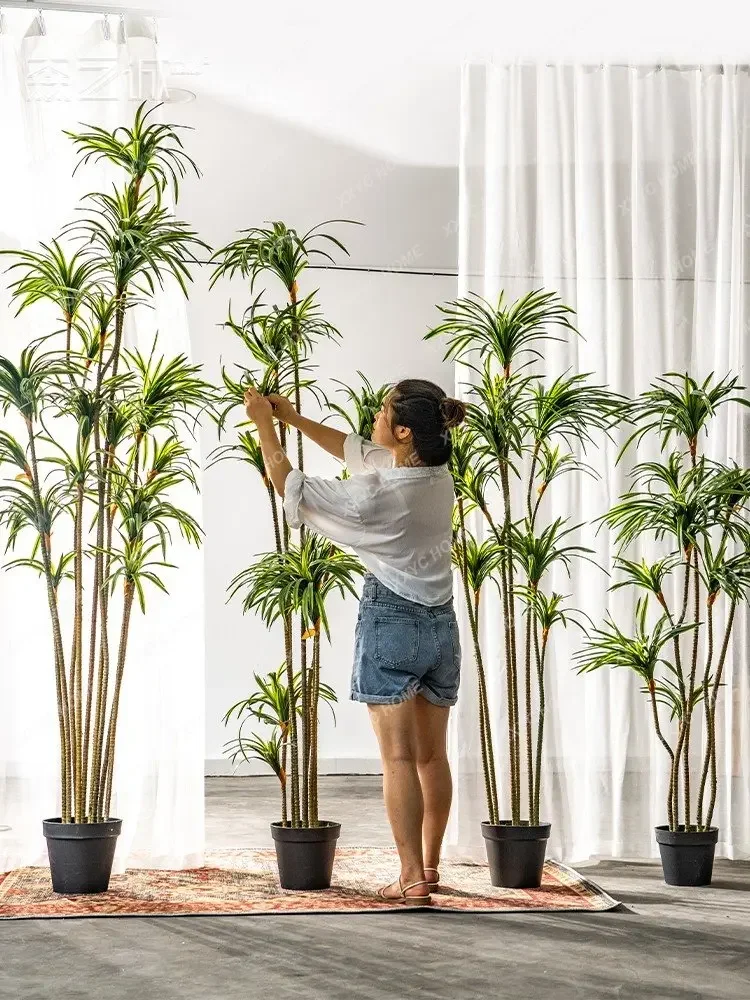 Simulierte Dracaena Dracaena M – Dracaena Marginata Bewertung und Preis
