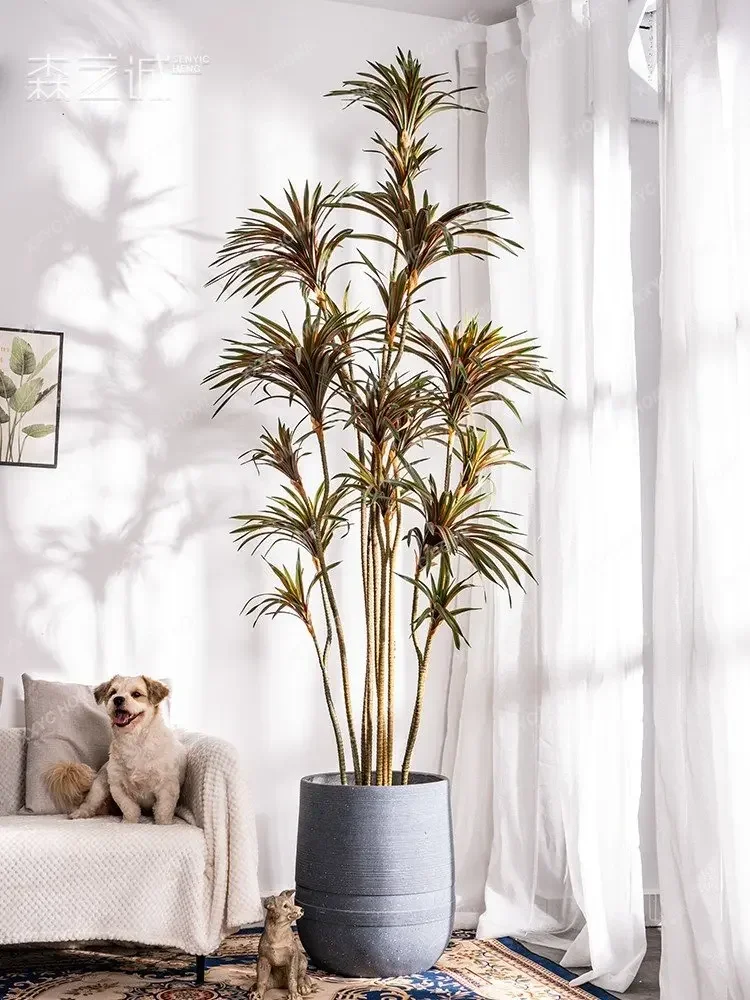 Simulierte Dracaena Dracaena M – Dracaena Marginata Bewertung und Preis