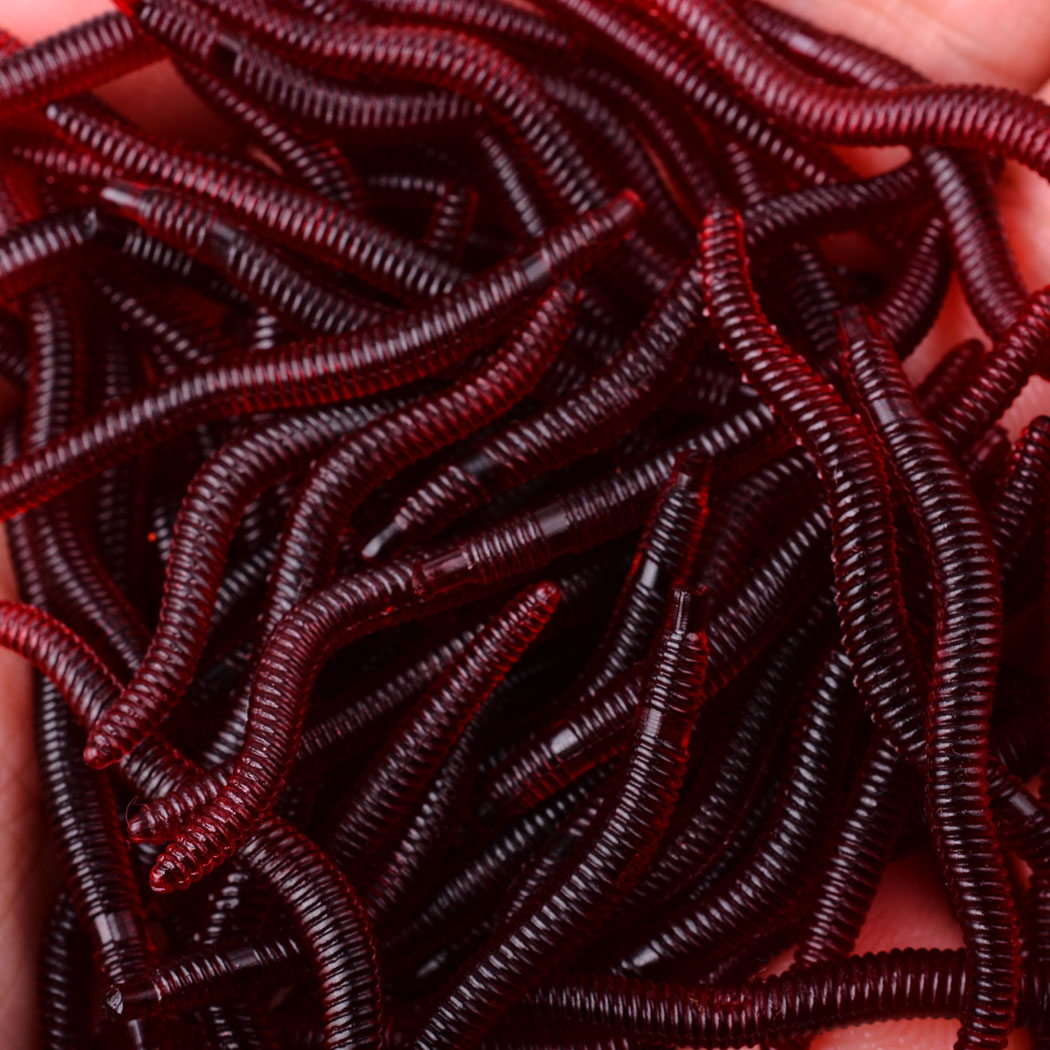 50 stücke Lebensechte Roten Wu – Aglaonema Red Bewertung und Preis