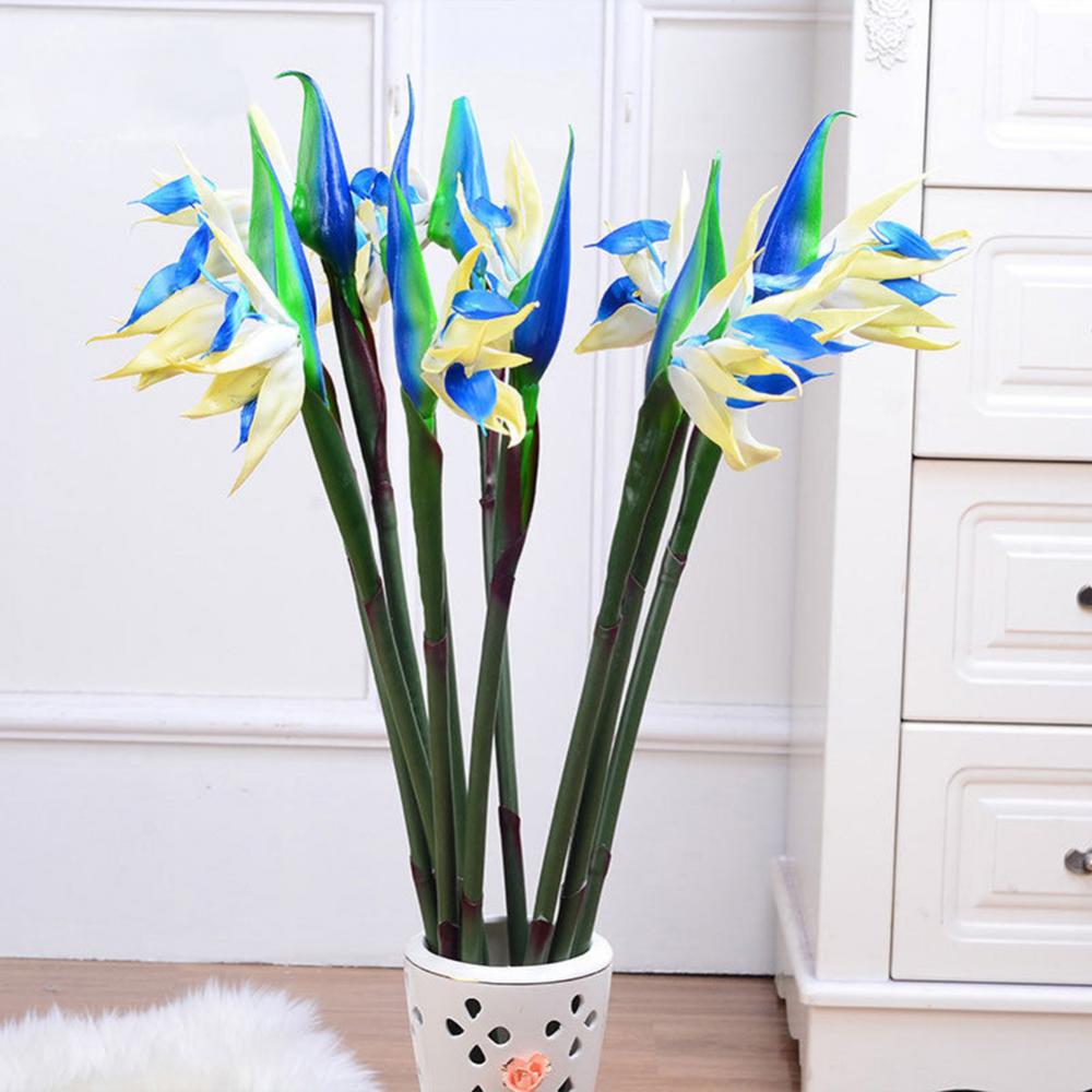 1pc 80cm Blume Paradiesvogel K – Bird Paradise Strelitzia Bewertung und Preis
