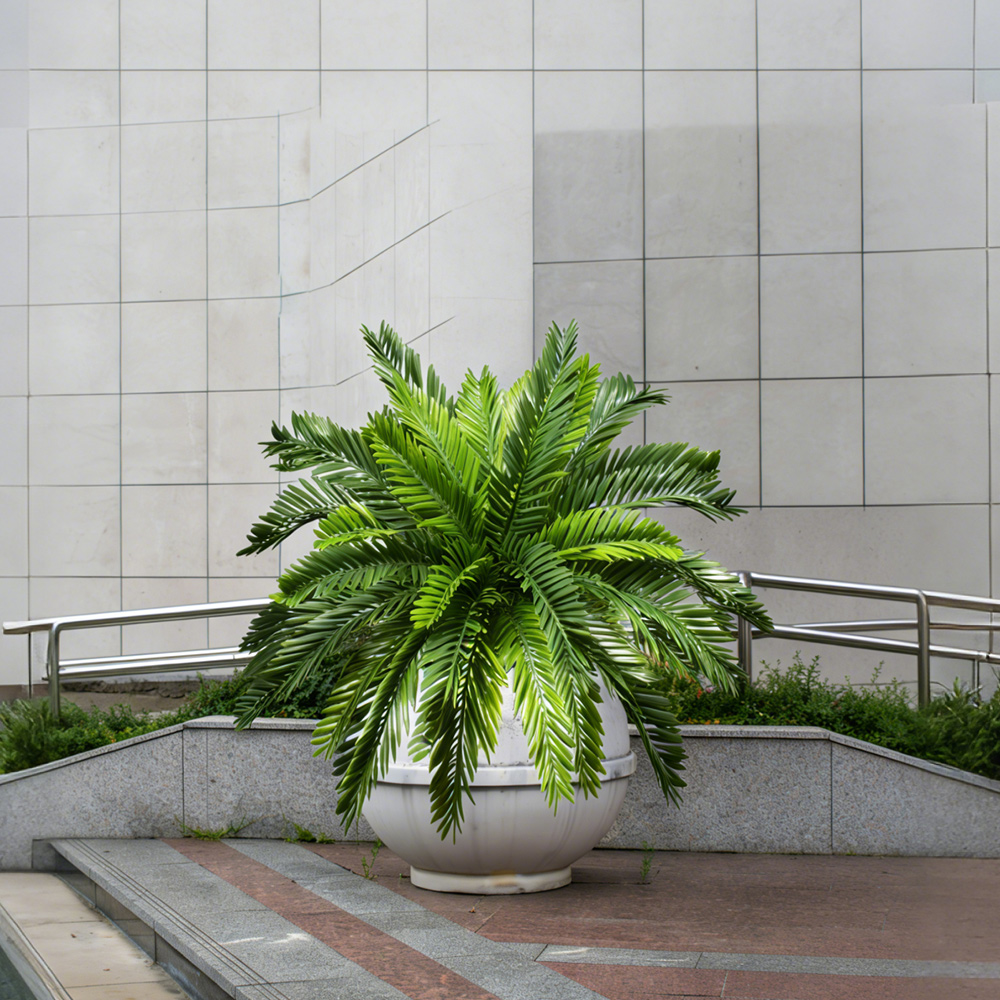 45 cm große künstliche Palmenp – Dracaena Marginata Bewertung und Preis