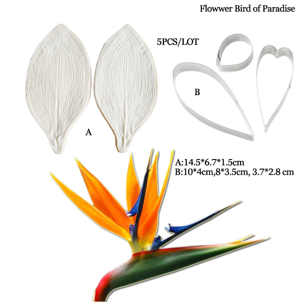 Große Gumpaste Strelitzia Vöge – Bird Paradise Strelitzia Bewertung und Preis