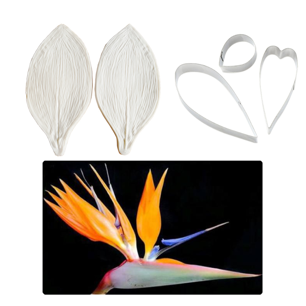 Große Gumpaste Strelitzia Vöge – Bird Paradise Strelitzia Bewertung und Preis