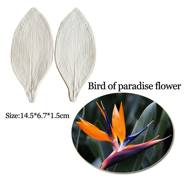 Große Gumpaste Strelitzia Vöge – Bird Paradise Strelitzia Bewertung und Preis