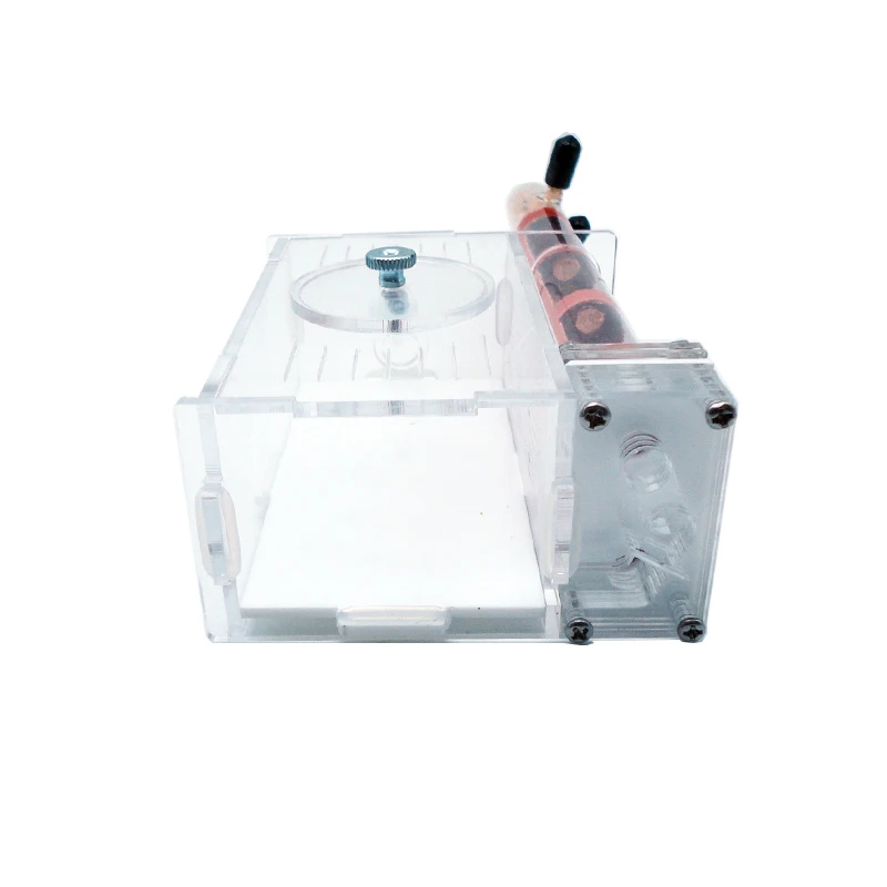DIY Ameisenfarm, 2 Stück, 18–1 – Begonia Rex Bewertung und Preis