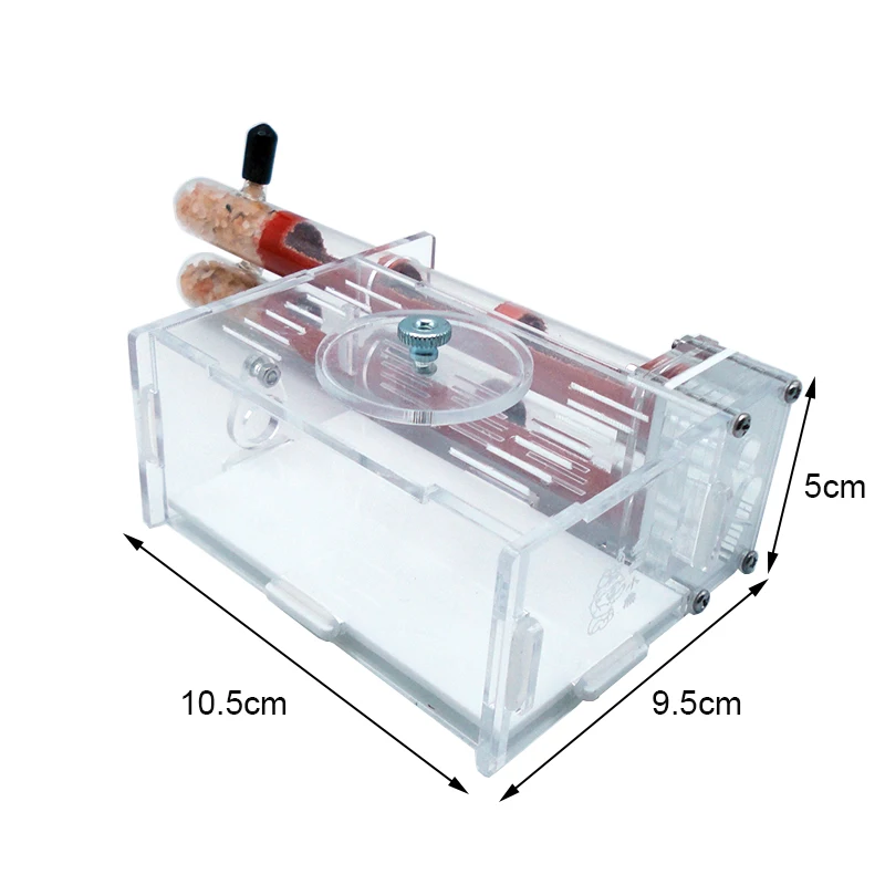 DIY Ameisenfarm, 2 Stück, 18–1 – Begonia Rex Bewertung und Preis
