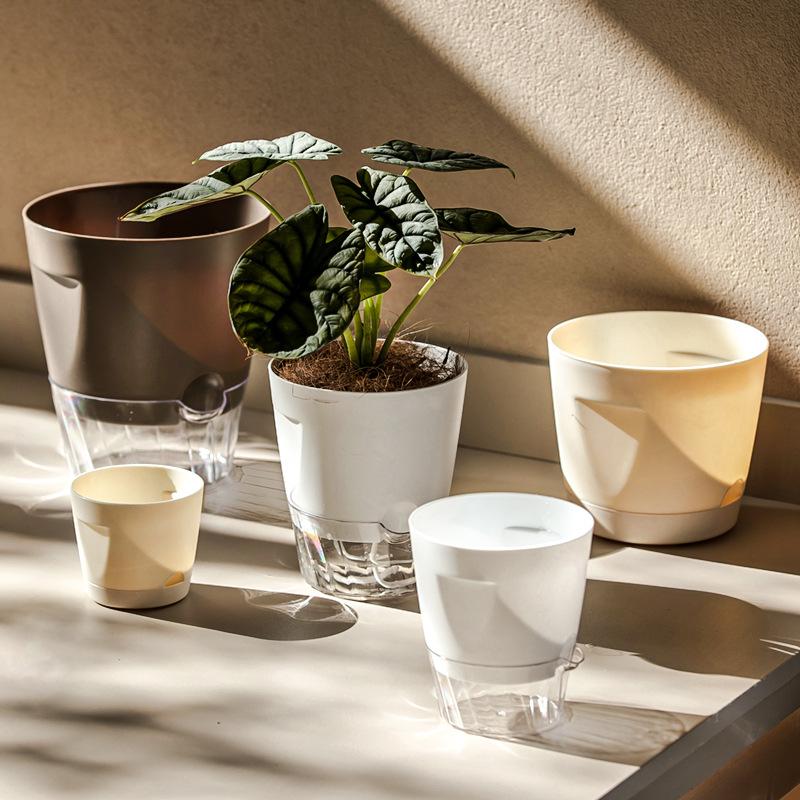 Neue selbstbewässernde Pflanze – Aloe Vera Pot Bewertung und Preis