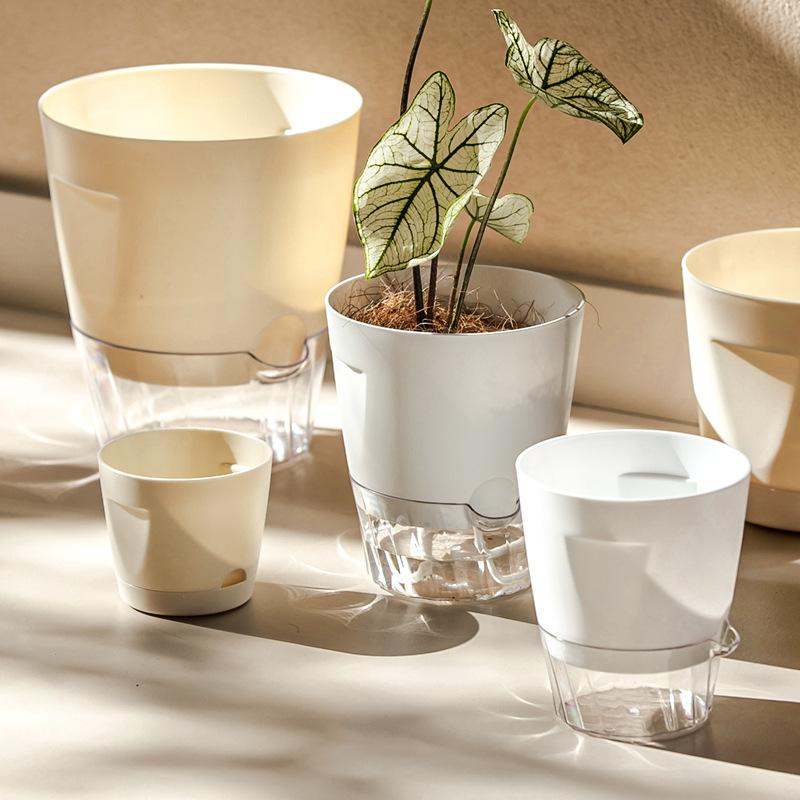 Neue selbstbewässernde Pflanze – Aloe Vera Pot Bewertung und Preis