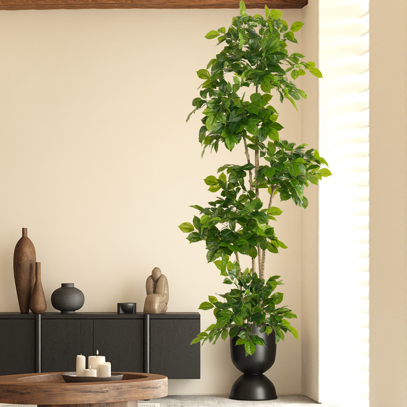 2-78 Zoll große gefälschte Pfl – Ficus Lyrata Tree Bewertung und Preis