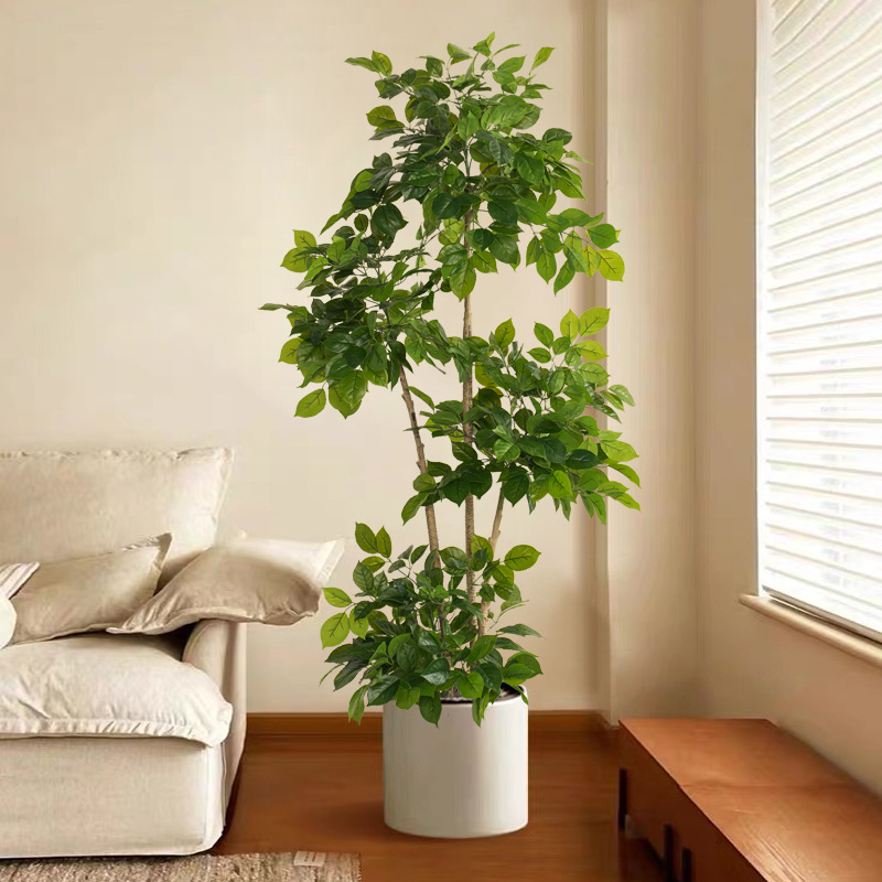 2-78 Zoll große gefälschte Pfl – Ficus Lyrata Tree Bewertung und Preis