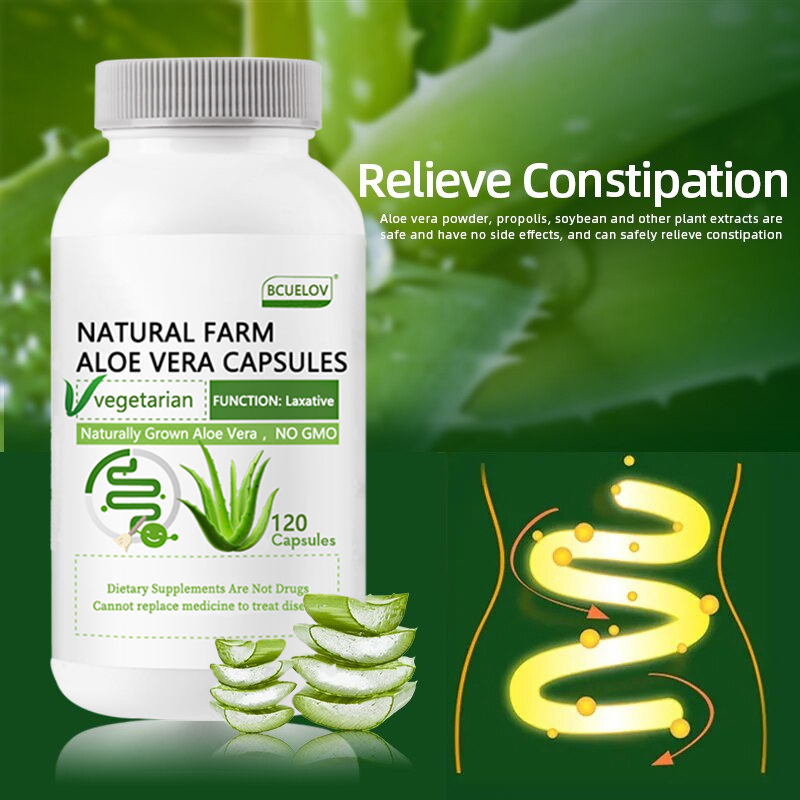 Natürliche Farm Aloe Vera Kaps – Aloe Vera Pot Bewertung und Preis