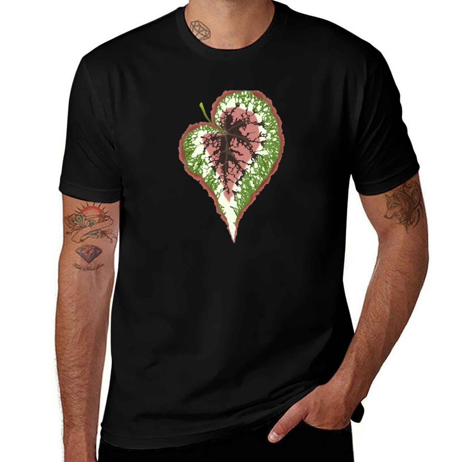 Begonia Rex T-Shirt Basic Simp – Begonia Rex Bewertung und Preis