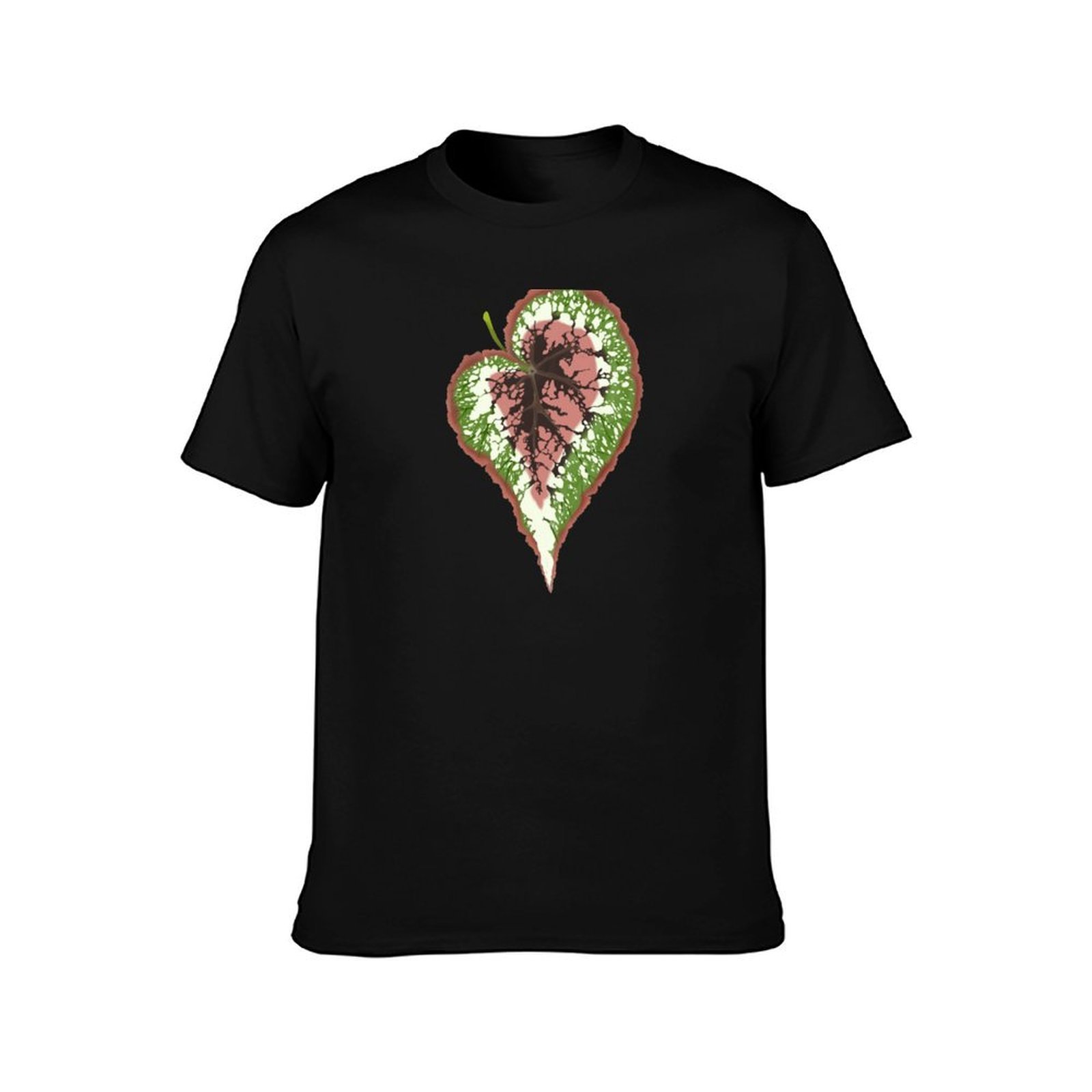Begonia Rex T-Shirt Basic Simp – Begonia Rex Bewertung und Preis