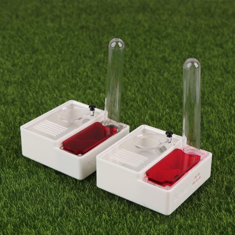 1Pcs Ant Farm Queen Ant's Nest – Begonia Rex Bewertung und Preis