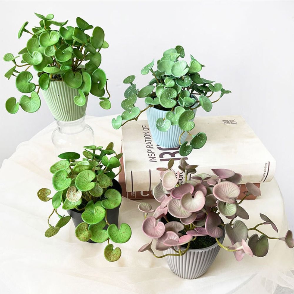 Weicher Kleber, künstliche Pfl – Echeveria Succulent Bewertung und Preis