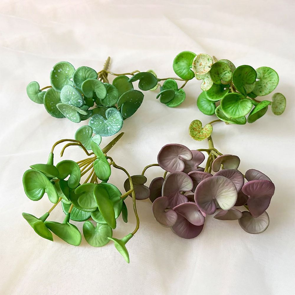 Weicher Kleber, künstliche Pfl – Echeveria Succulent Bewertung und Preis