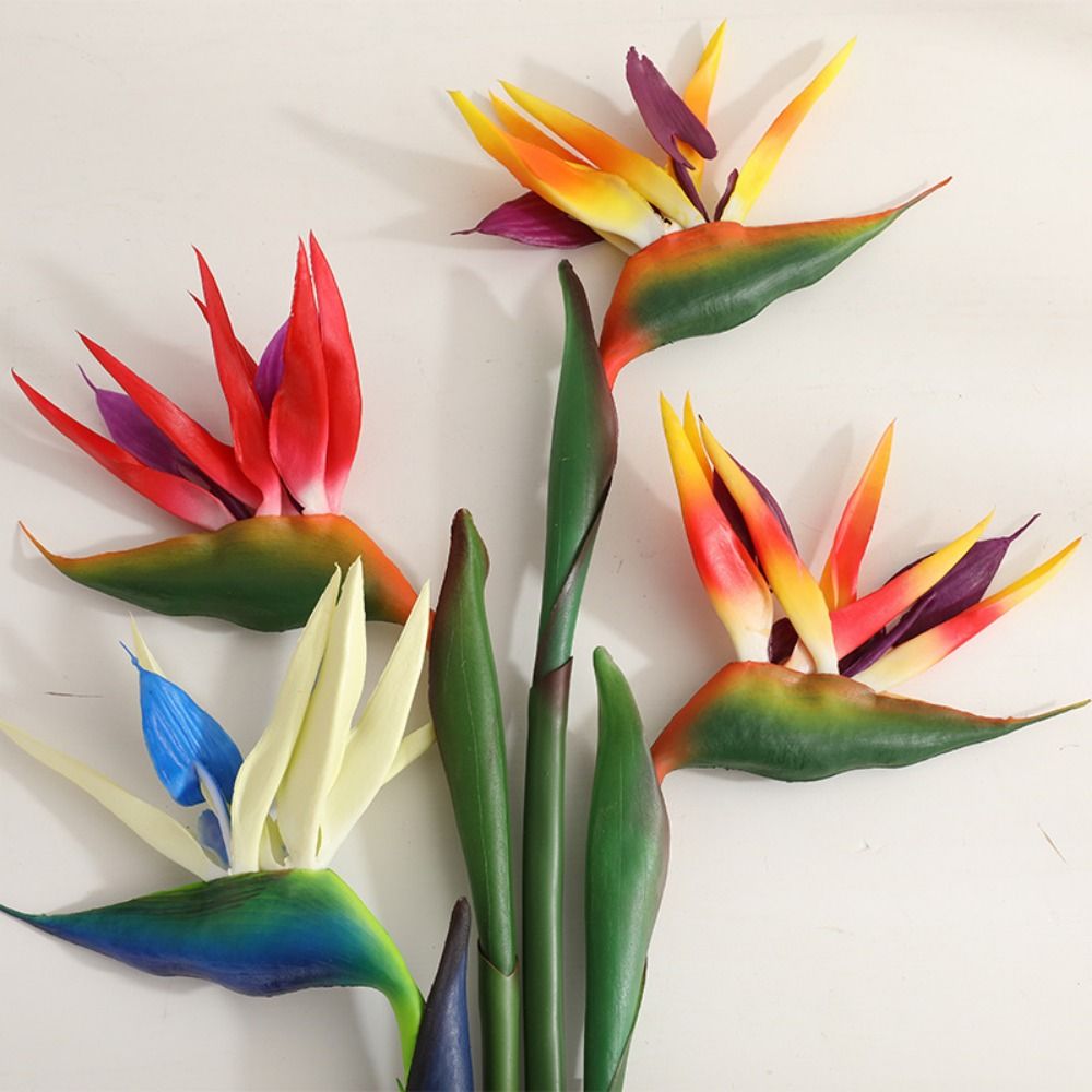 Künstliche Strelitzie mit lang – Bird Paradise Strelitzia Bewertung und Preis