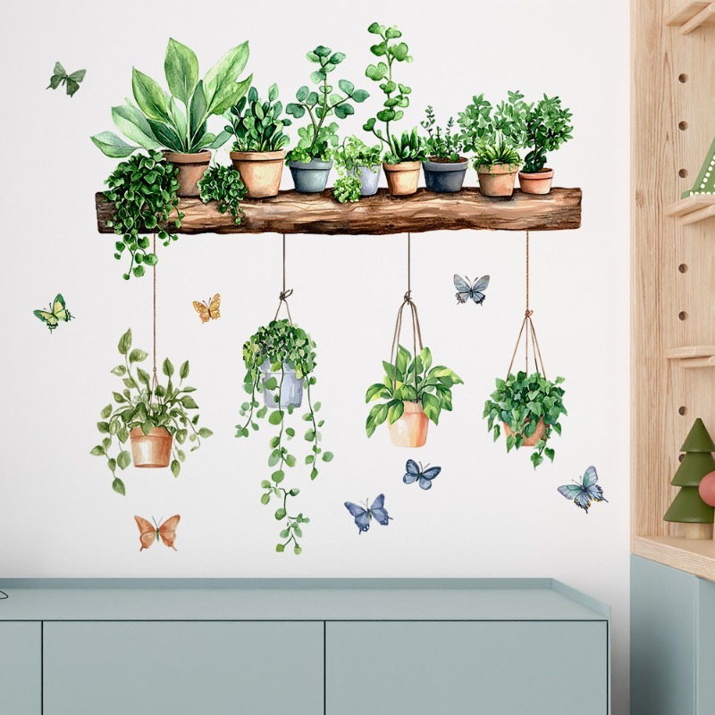 3D Wandtattoos mit grünen Pfla – Echeveria Succulent Bewertung und Preis