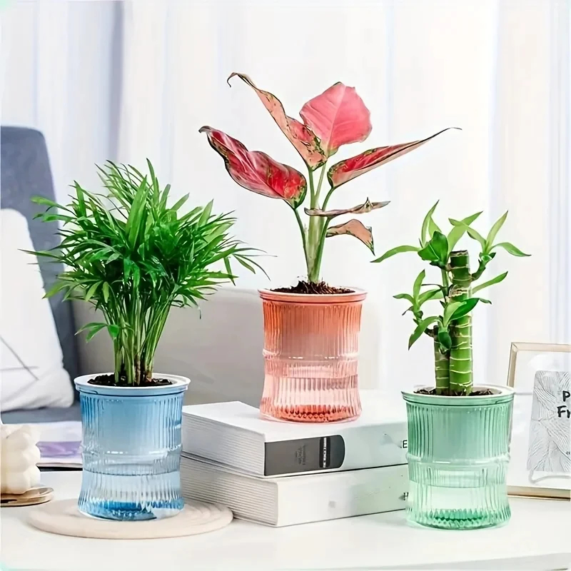 Transparenter Doppelschichtige – Aloe Vera Pot Bewertung und Preis