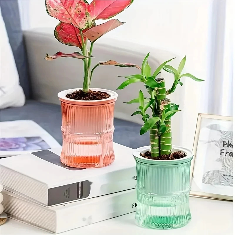 Transparenter Doppelschichtige – Aloe Vera Pot Bewertung und Preis