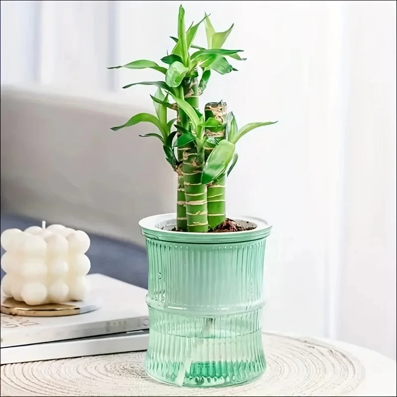Transparenter Doppelschichtige – Aloe Vera Pot Bewertung und Preis