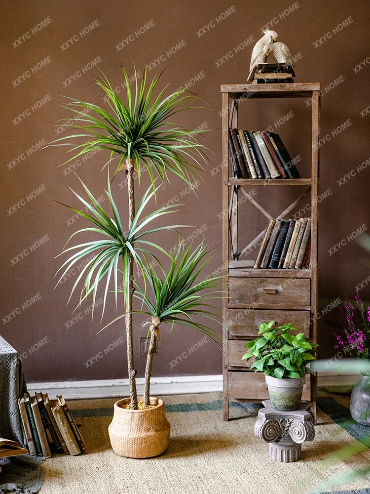 Licht Luxus Simulation Grüne P – Dracaena Marginata Bewertung und Preis
