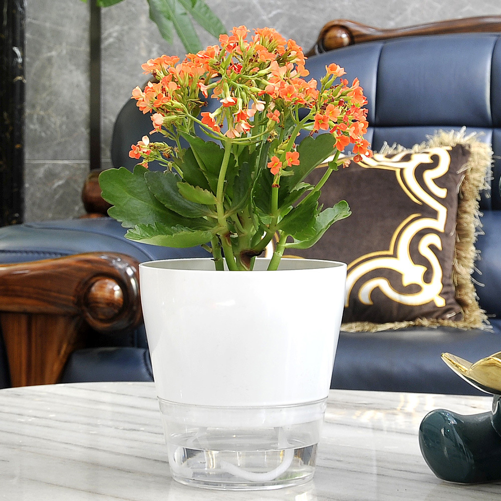 Lazy Flower mit Drainageloch,  – Aloe Vera Pot Bewertung und Preis