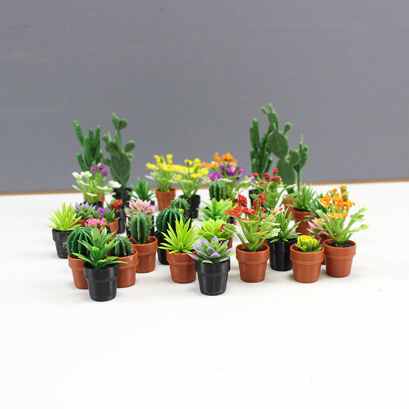 Mini-Simulationspflanzen, Kakt – Echeveria Succulent Bewertung und Preis