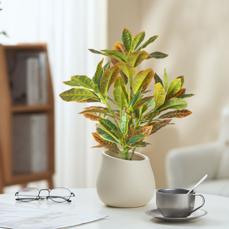 24–41 cm künstliche Pflanzen,  – Ficus Lyrata Tree Bewertung und Preis
