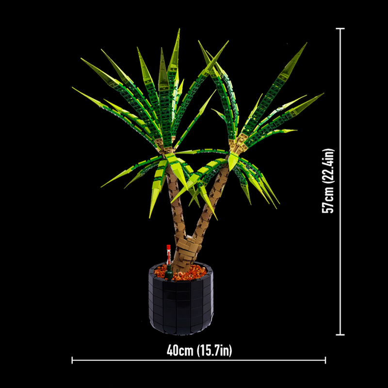 1961 Teile MOC Dracaena Margin – Dracaena Marginata Bewertung und Preis