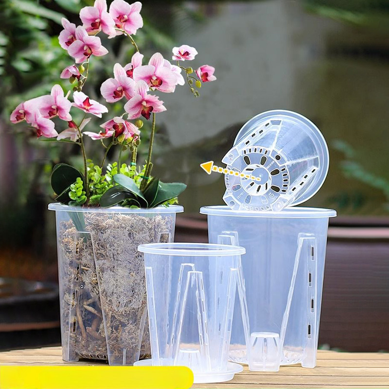 12cm für Orchideen pflanze wac – Aloe Vera Pot Bewertung und Preis