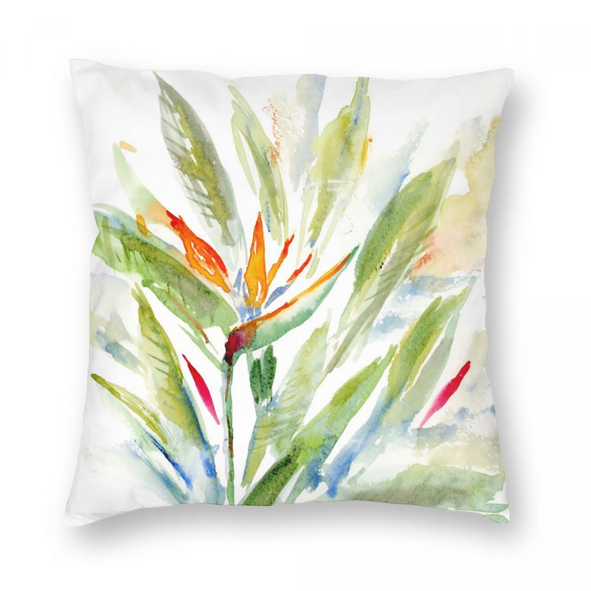 Bird Of Paradise Strelitzia Qu – Bird Paradise Strelitzia Bewertung und Preis