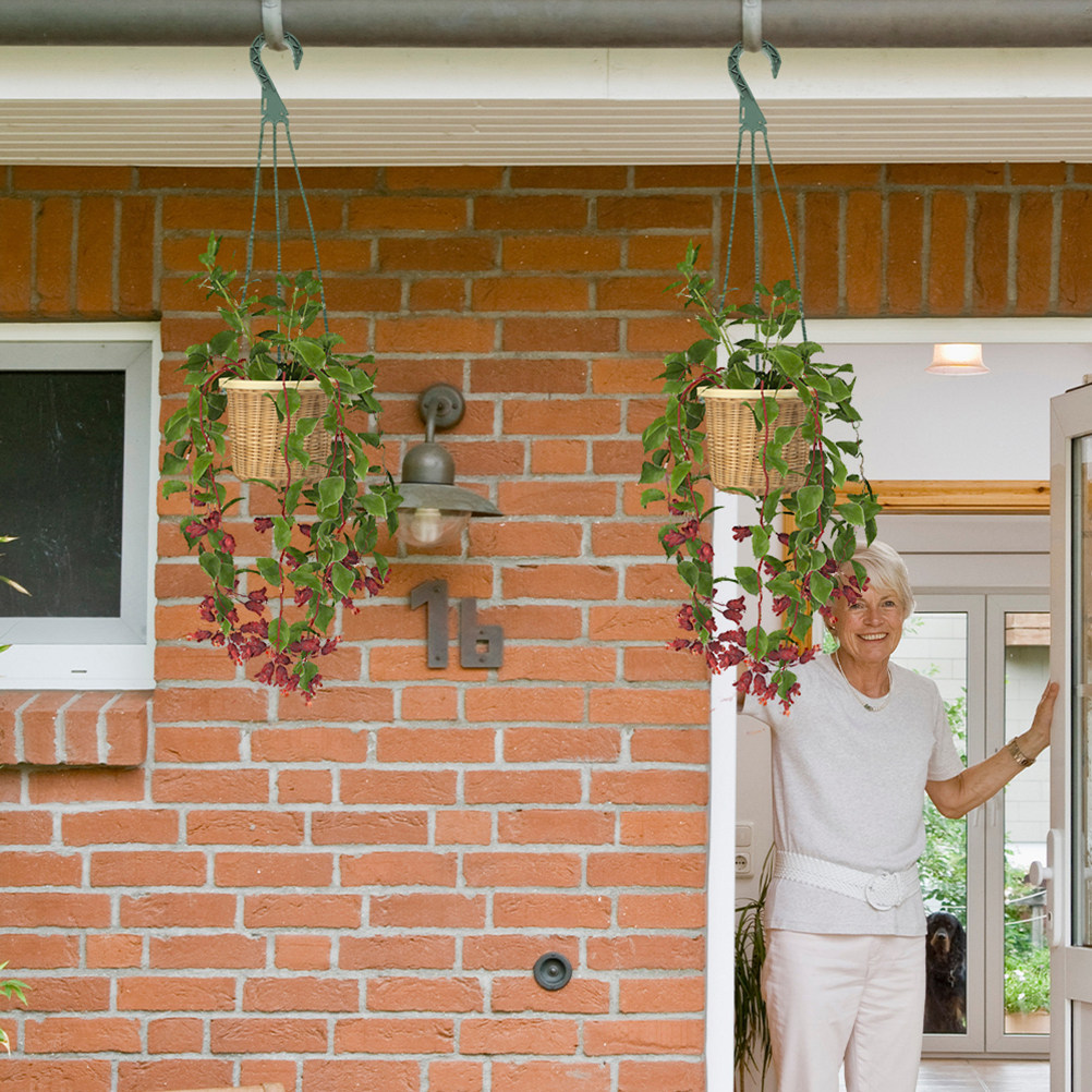 5 Stück Hängehaken für Pflanzg – Spider Plant Hanging Bewertung und Preis