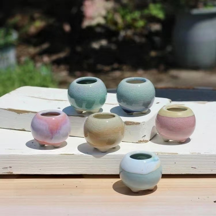 6Pcs Mini Blumentopf Sukkulent – Echeveria Succulent Bewertung und Preis