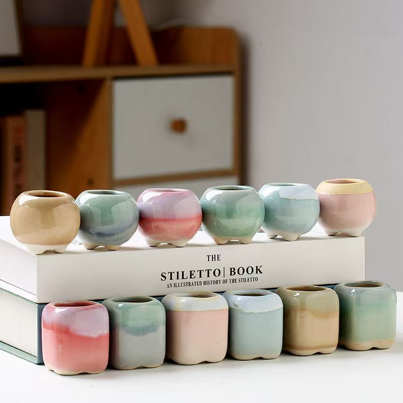6Pcs Mini Blumentopf Sukkulent – Echeveria Succulent Bewertung und Preis