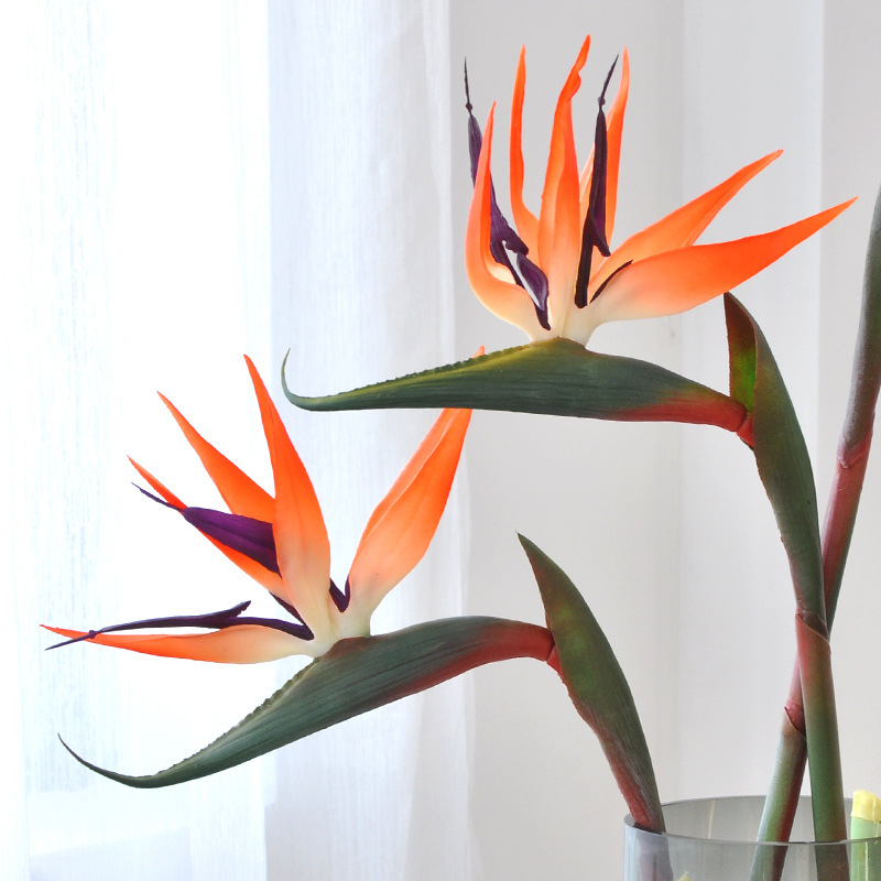 3 Stück künstliche Paradiesvog – Bird Paradise Strelitzia Bewertung und Preis
