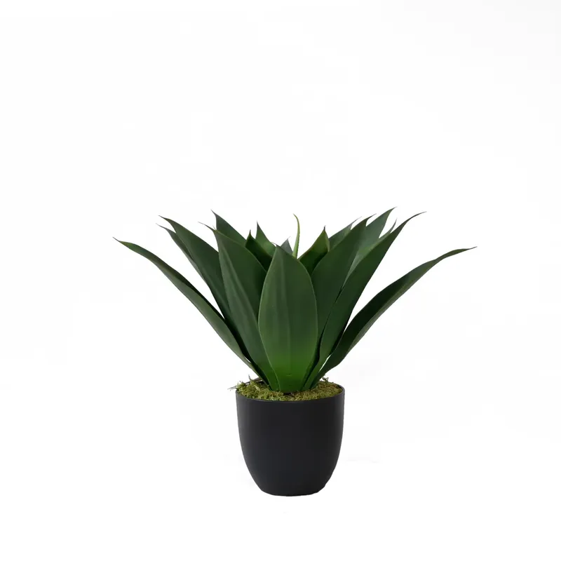 Künstliche Aloe Vera Pflanze i – Aloe Vera Pot Bewertung und Preis